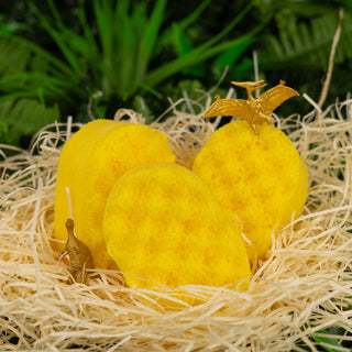 Dino Egg Soap Sponge