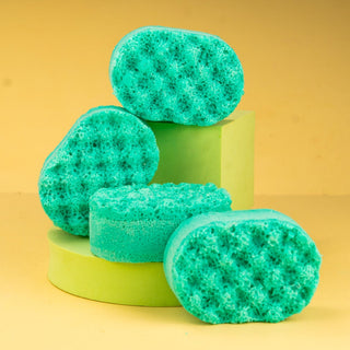 Simply the Zest Mini Soap Sponge