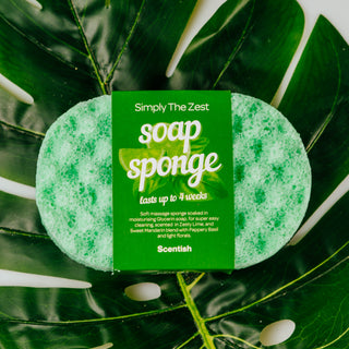 Simply The Zest Soap Sponge