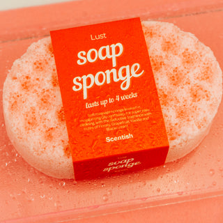 Lust Soap Sponge