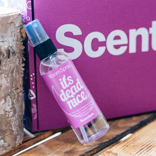 It's Dead Nice Room Spray