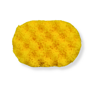Dino Egg Soap Sponge