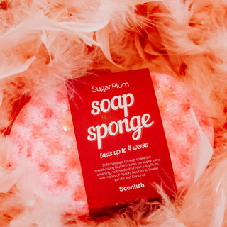 Sugar Plum Soap Sponge