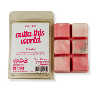 Outta This World Wax Melt