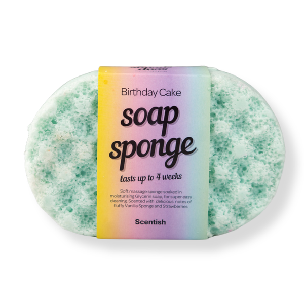 Birthday Cake Soap Sponge