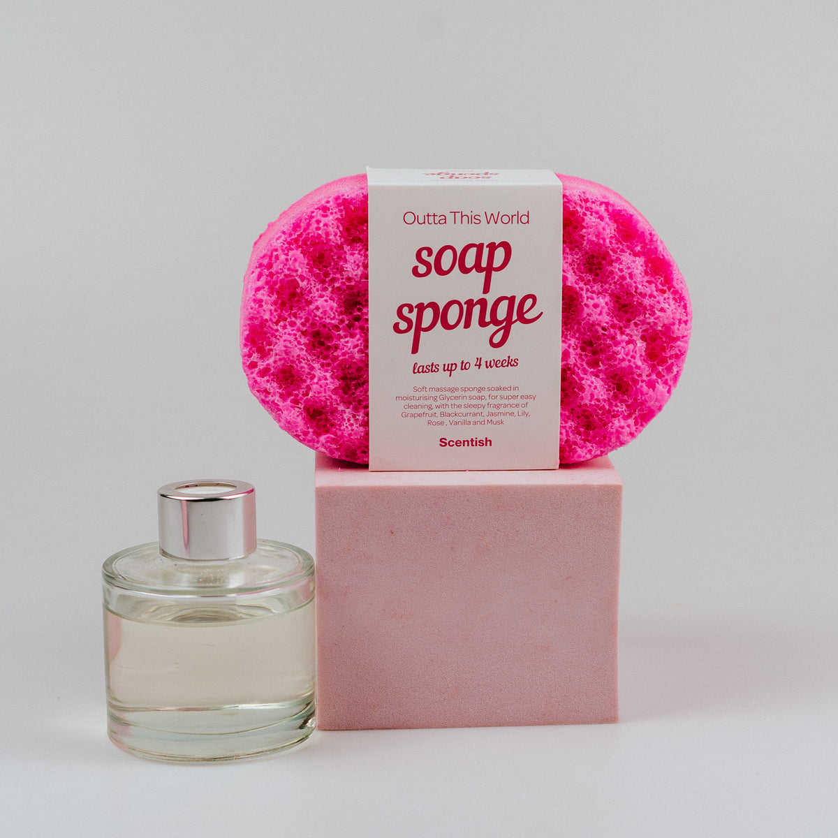 Outta This World Soap Sponge