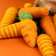 Carrot Bath Bomb