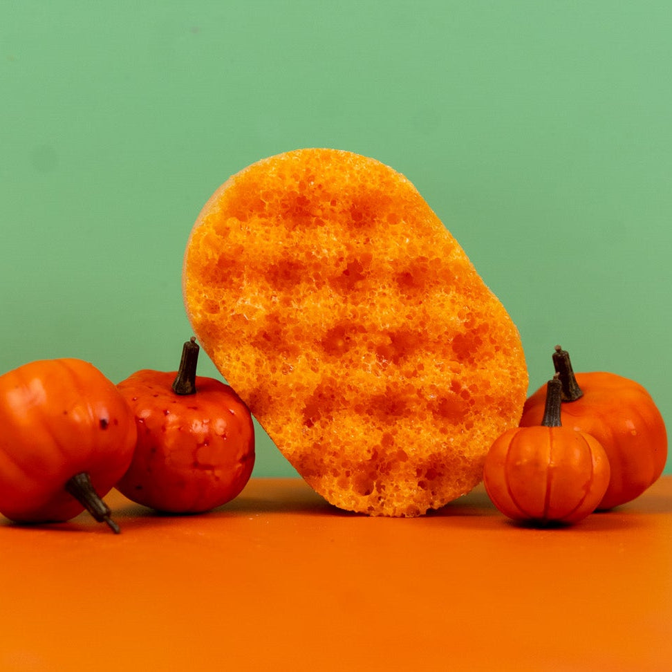 Pumpkin Spice Mini Soap Sponge