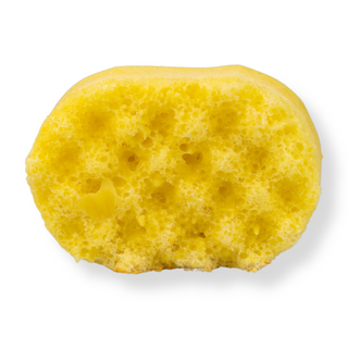 Famous Mini Soap Sponge