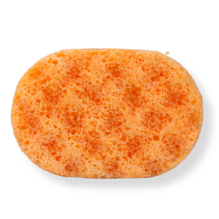Gingerbread Mini Soap Sponge