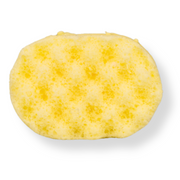 Honey, I Scrubbed Myself Mini Soap Sponge