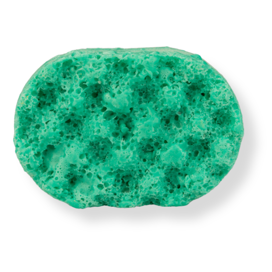 Simply the Zest Mini Soap Sponge