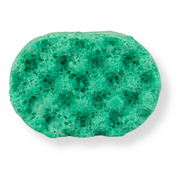 Simply the Zest Mini Soap Sponge