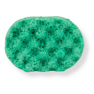 Simply the Zest Mini Soap Sponge