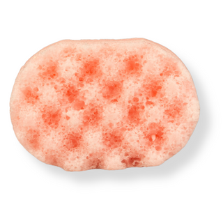 Lust Mini Soap Sponge