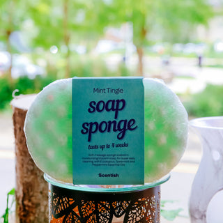 Mint Tingle Soap Sponge