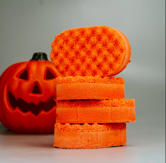 Pumpkin Spice Soap Sponge