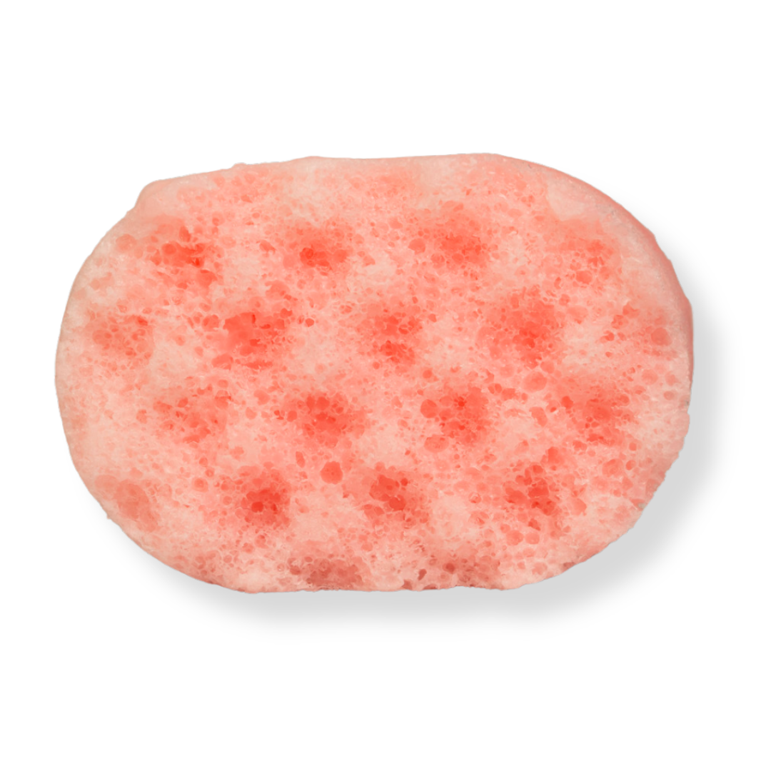 Sugar Plum Mini Soap Sponge
