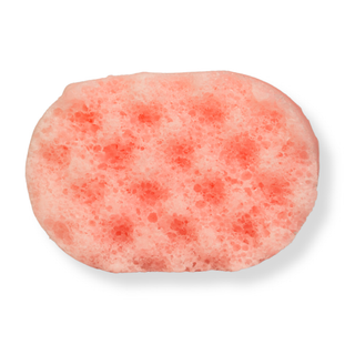 Sugar Plum Mini Soap Sponge
