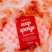 Sugar Plum Soap Sponge
