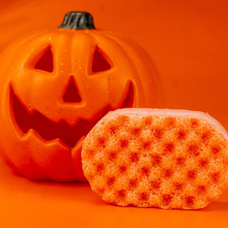 Pumpkin Spice Soap Sponge