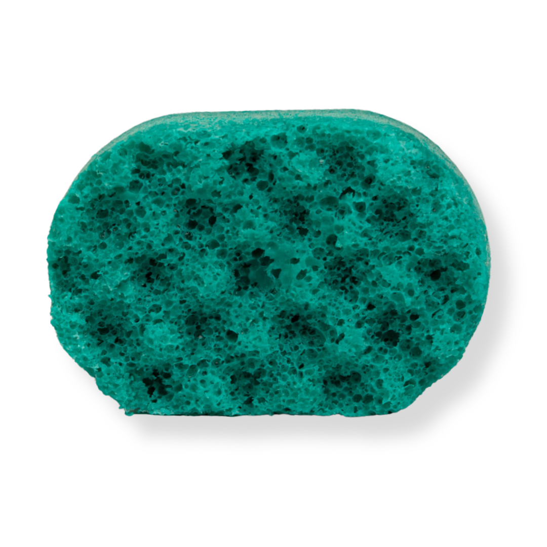 Watermelon Mini Soap Sponge