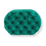 Watermelon Mini Soap Sponge