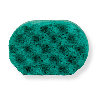 Watermelon Mini Soap Sponge