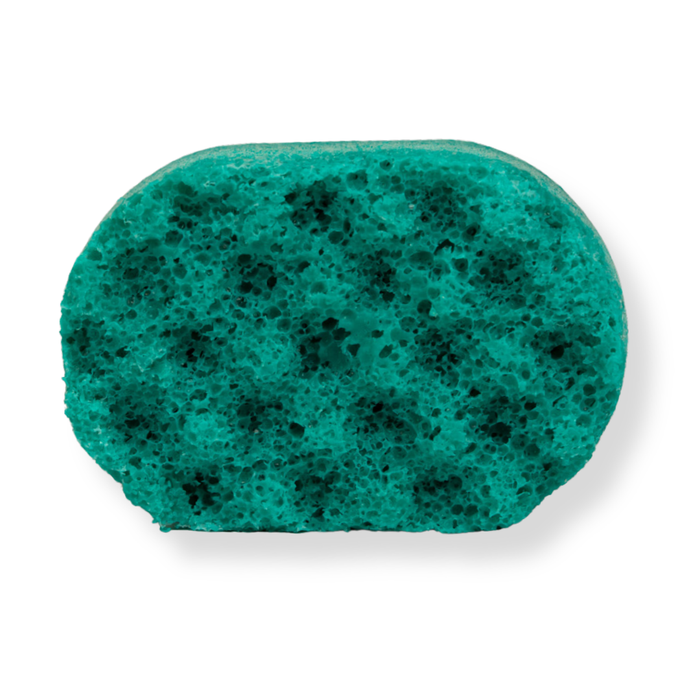 Watermelon Mini Soap Sponge