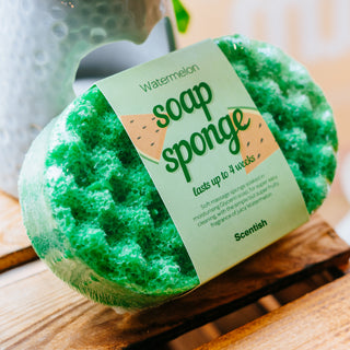 Watermelon Soap Sponge