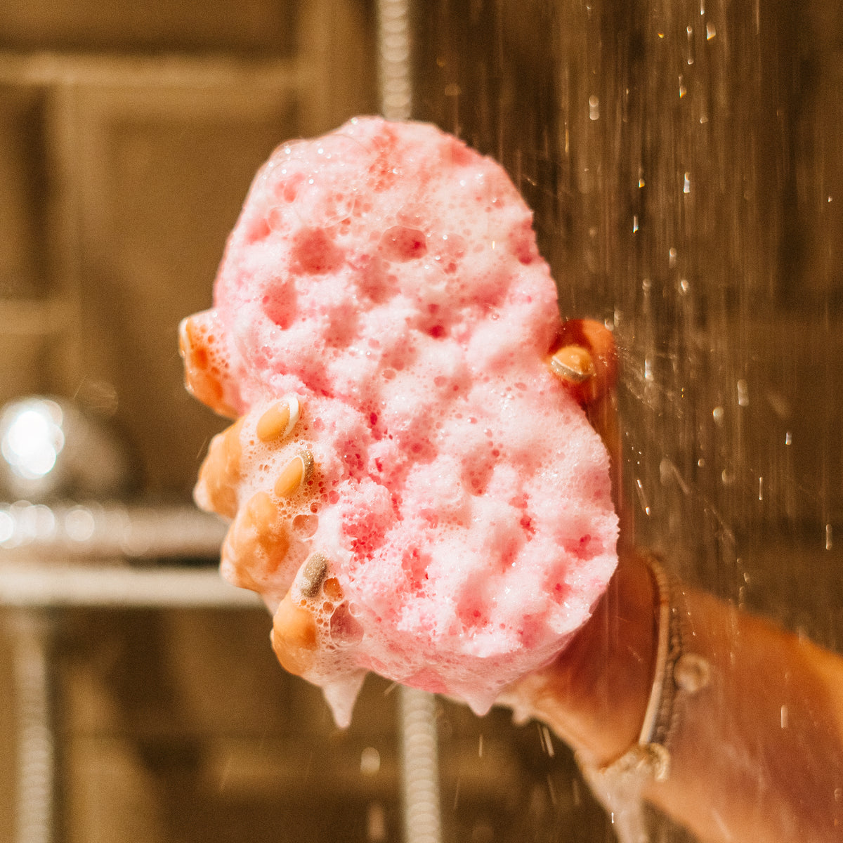 Beauty Soap Sponge