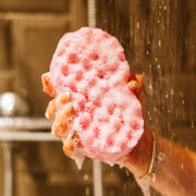 Beauty Soap Sponge