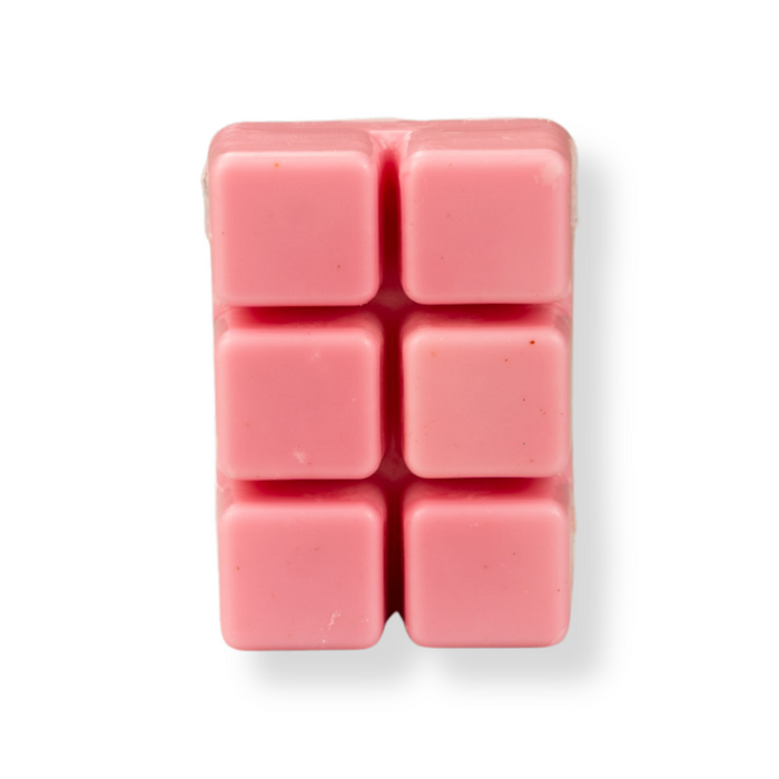 Coral Beach Wax Melt