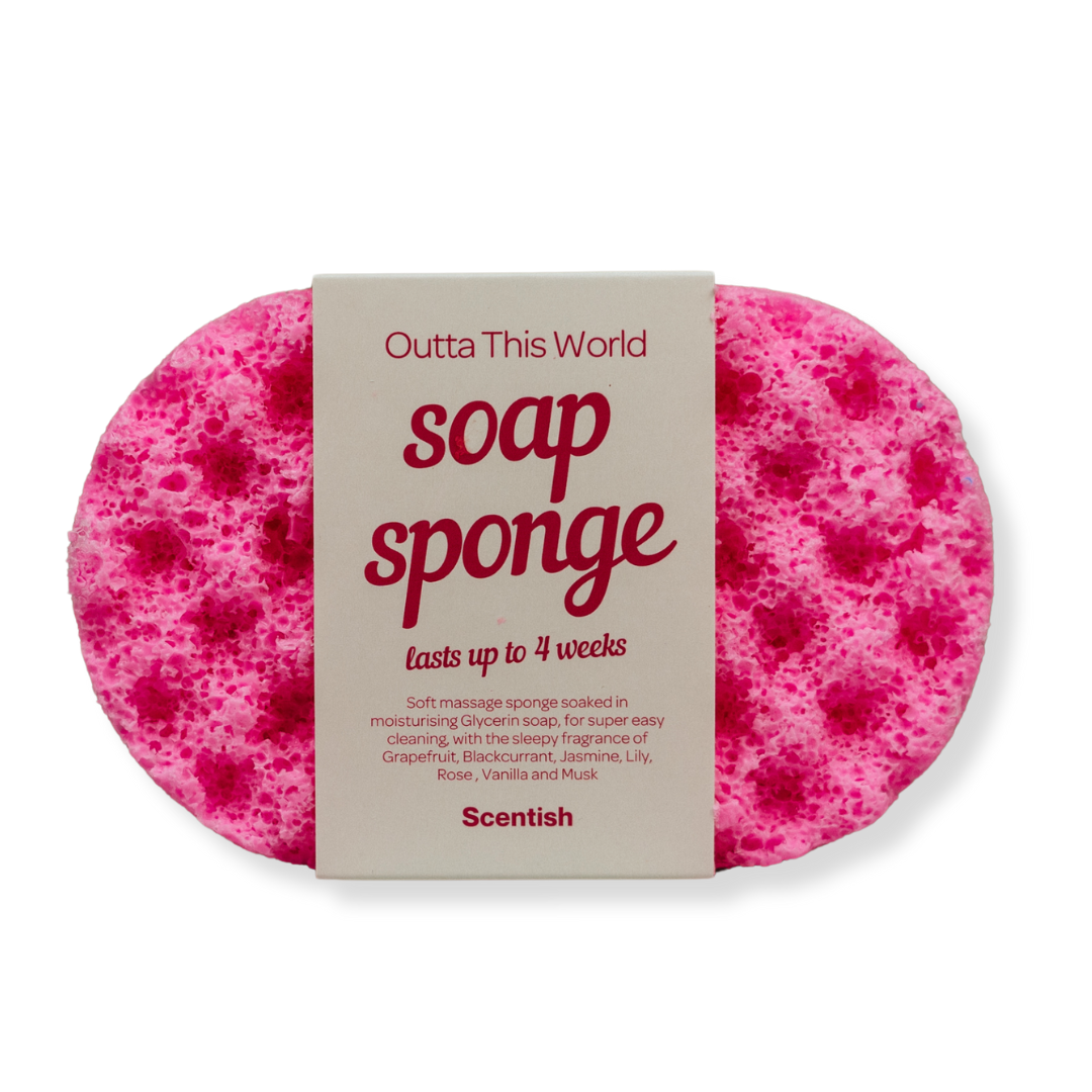 Outta This World Soap Sponge