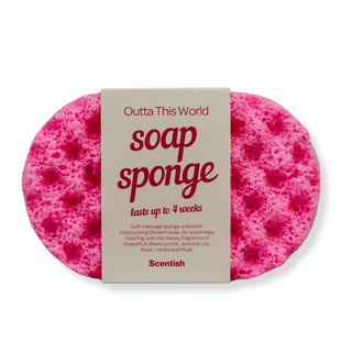 Outta This World Soap Sponge