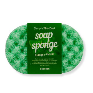 Simply The Zest Soap Sponge