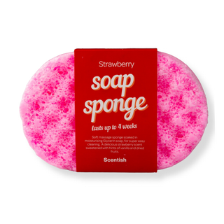 Strawberry Soap Sponge