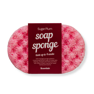 Sugar Plum Soap Sponge