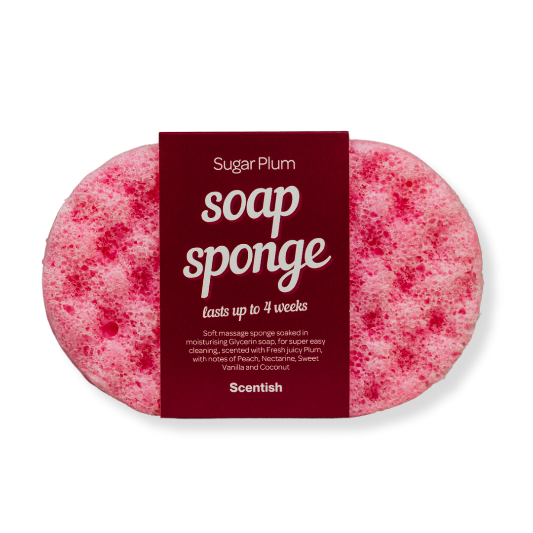 Sugar Plum Soap Sponge