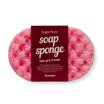Sugar Plum Soap Sponge
