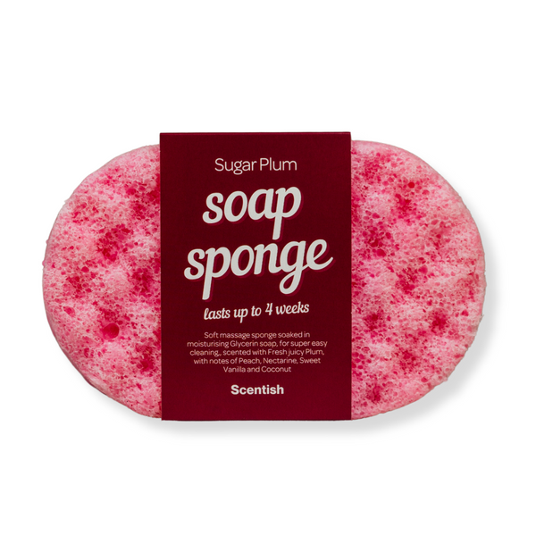 Sugar Plum Soap Sponge