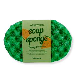 Watermelon Soap Sponge